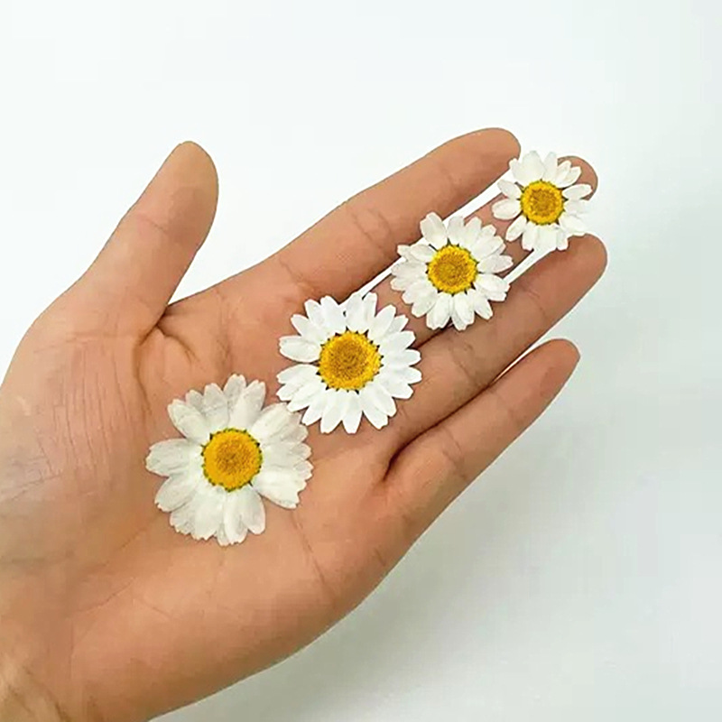 ดอกเดซี่คริสตัลสีขาวธรรมชาติ 1 - Resin Craft Ideas บทวิจารณ์และราคา