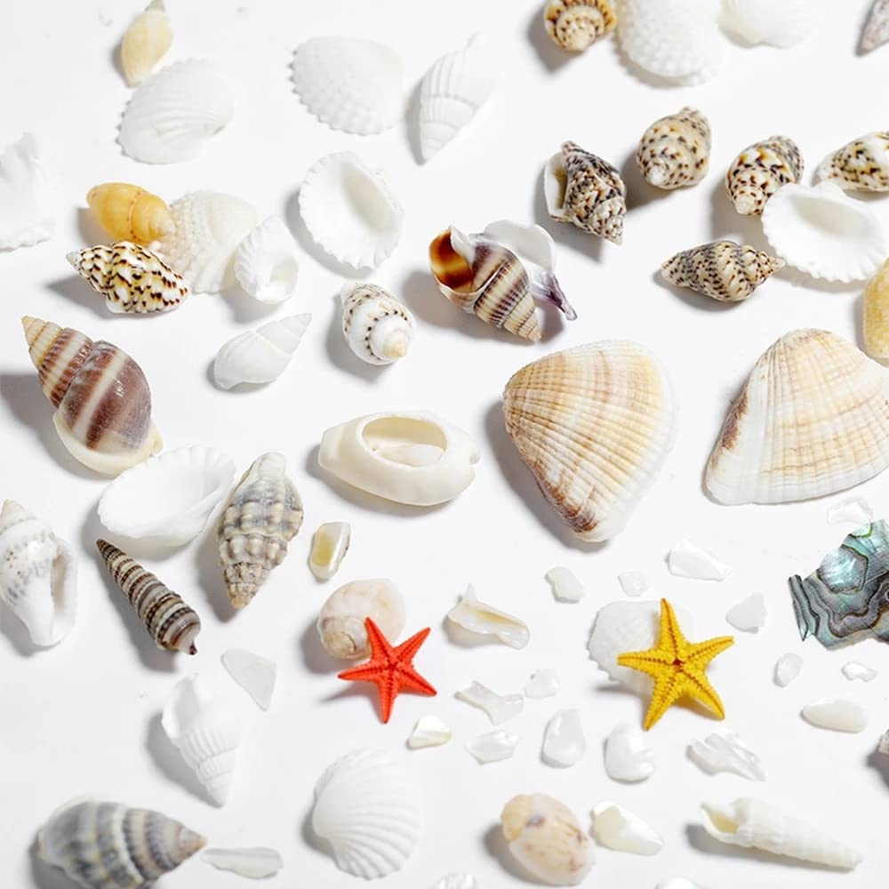 1 กล่อง Sea Shells Pearl เรซิ่ - Resin Ocean Wave Mold บทวิจารณ์และราคา